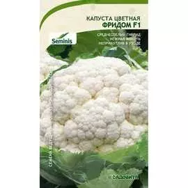 Цветная капуста капуста Садовита