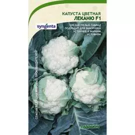 Цветная капуста капуста Садовита