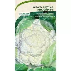 Цветная капуста семена Садовита