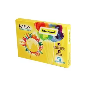 Цветной мел Silwerhof 882086-09 Солнечная коллекция 1097207