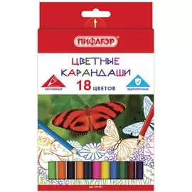 Цветные заточенные карандаши Пифагор