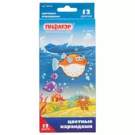 Цветные заточенные карандаши Пифагор