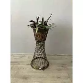 Цветочница Ajurio