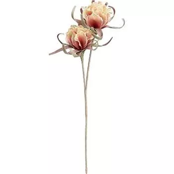 Цветок Вещицы