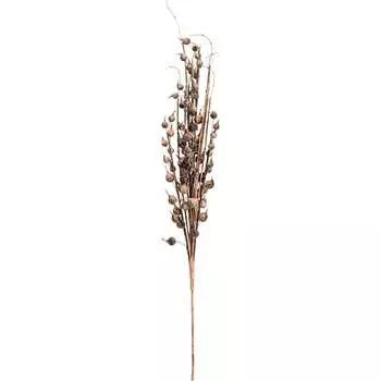 Цветок Вещицы