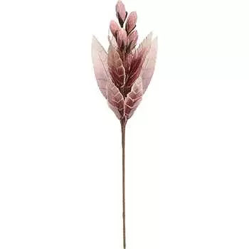 Цветок Вещицы