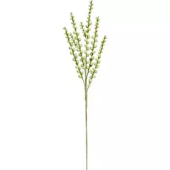 Цветок Вещицы