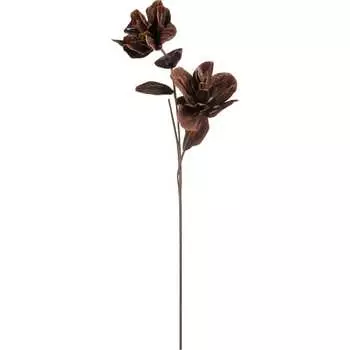 Цветок Вещицы