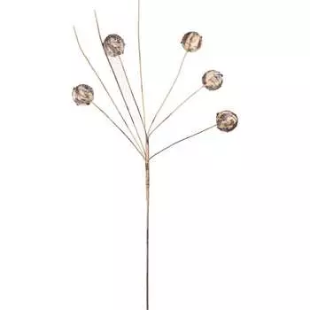 Цветок Вещицы