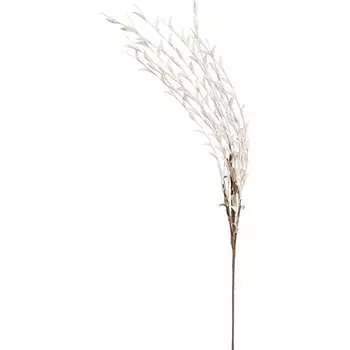 Цветок Вещицы