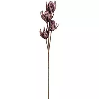 Цветок Вещицы анона весенняя aj-23