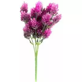 Цветок Волшебная страна Хмель 003837