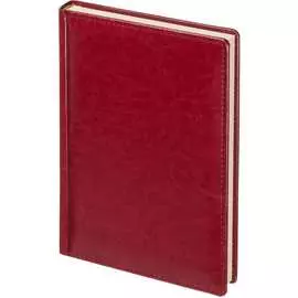 Датированный ежедневник Attache