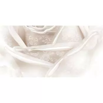 Декор Belleza Нежность СК000010119