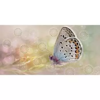 Декор Belleza Мечта СК000010127