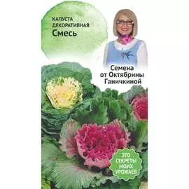 Декоративная капуста капуста ОКТЯБРИНА ГАНИЧКИНА