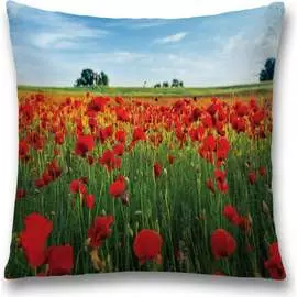 Декоративная наволочка JOYARTY sl_105982