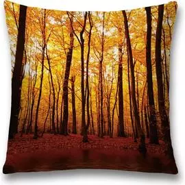 Декоративная наволочка JOYARTY