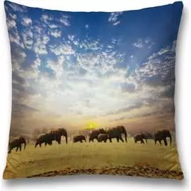 Декоративная наволочка JOYARTY sl_10445