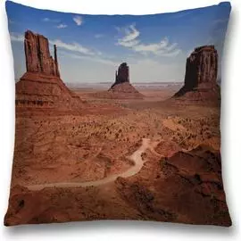 Декоративная наволочка JOYARTY sl_10229