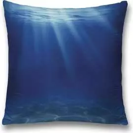 Декоративная наволочка JOYARTY sl_10276