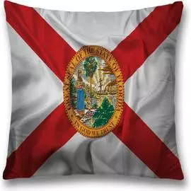 Декоративная наволочка JOYARTY