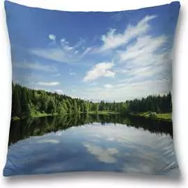 Декоративная наволочка JOYARTY sl_10293