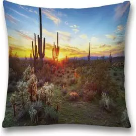 Декоративная наволочка JOYARTY sl_10855