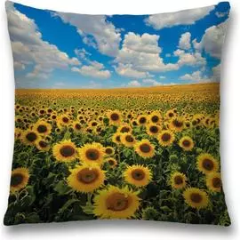 Декоративная наволочка JOYARTY sl_105974