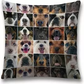 Декоративная наволочка JOYARTY sl_10674