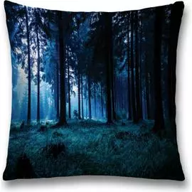 Декоративная наволочка JOYARTY sl_10876