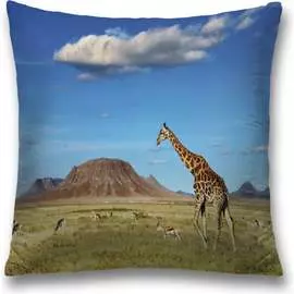 Декоративная наволочка JOYARTY sl_10450