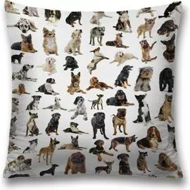 Декоративная наволочка JOYARTY sl_10660