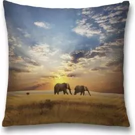 Декоративная наволочка JOYARTY sl_10451