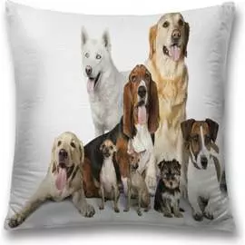 Декоративная наволочка JOYARTY sl_10681