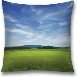 Декоративная наволочка JOYARTY sl_10868