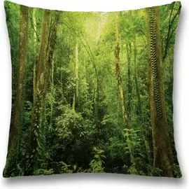 Декоративная наволочка JOYARTY