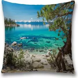 Декоративная наволочка JOYARTY sl_10903