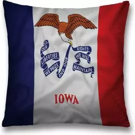 Декоративная наволочка JOYARTY