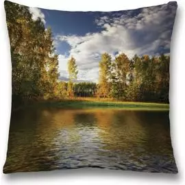 Декоративная наволочка JOYARTY sl_10288