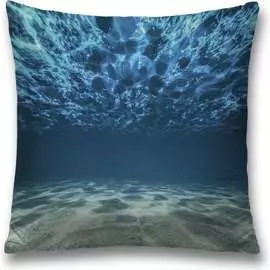 Декоративная наволочка JOYARTY sl_10277