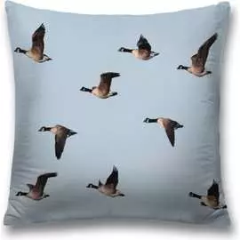 Декоративная наволочка JOYARTY sl_10467