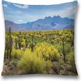 Декоративная наволочка JOYARTY sl_10858