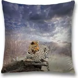 Декоративная наволочка JOYARTY