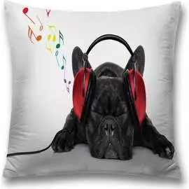 Декоративная наволочка JOYARTY sl_10680