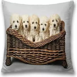 Декоративная наволочка JOYARTY sl_10682