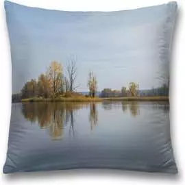 Декоративная наволочка JOYARTY