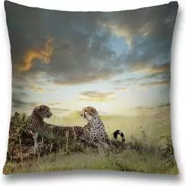 Декоративная наволочка JOYARTY sl_10446