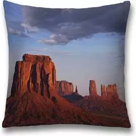 Декоративная наволочка JOYARTY sl_10870