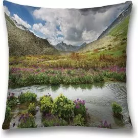 Декоративная наволочка JOYARTY sl_10001